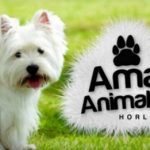 Amanda's Animal Services