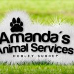 Amanda's Animal Services